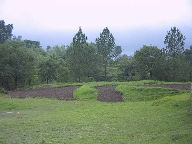 golfground.jpg