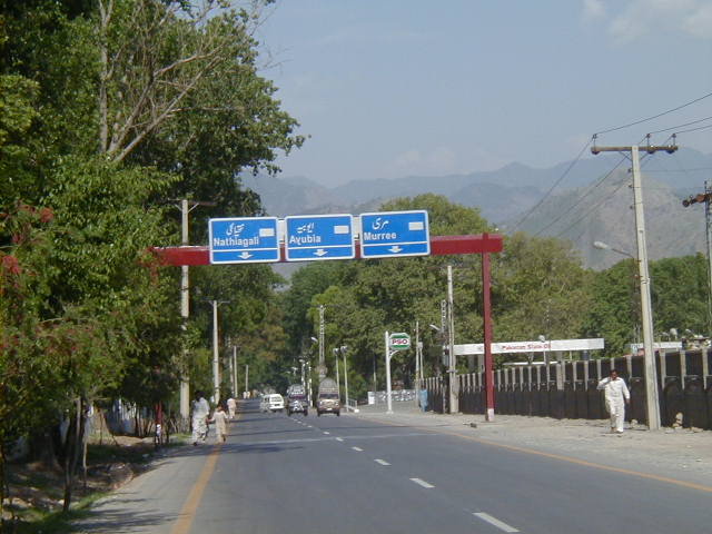 muree.jpg