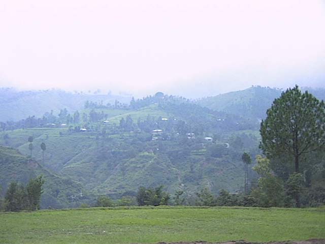 scene3.jpg